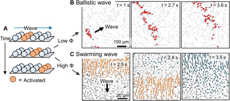 The physicochemical nature of colloidal motion waves among silver colloids