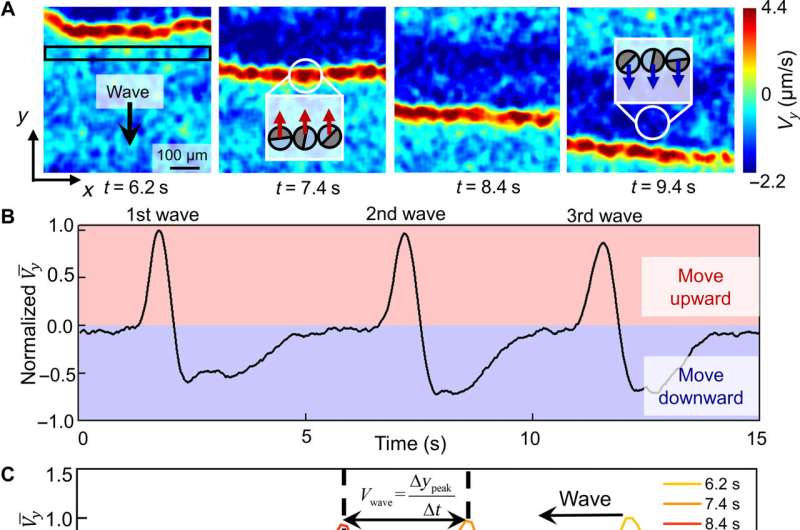 The physicochemical nature of colloidal motion waves among silver colloids