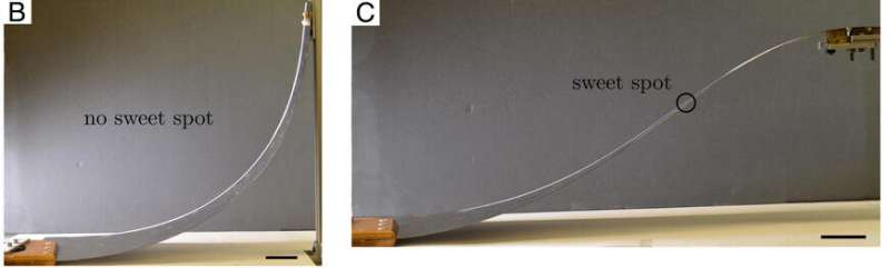 The physics of a singing saw