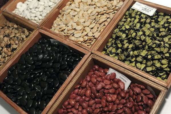 The race to protect the food of the future – why seed banks alone are not the answer