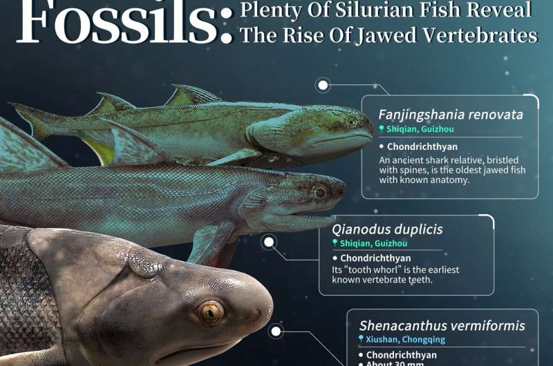 Montée des poissons éclairée par la découverte de fossiles 