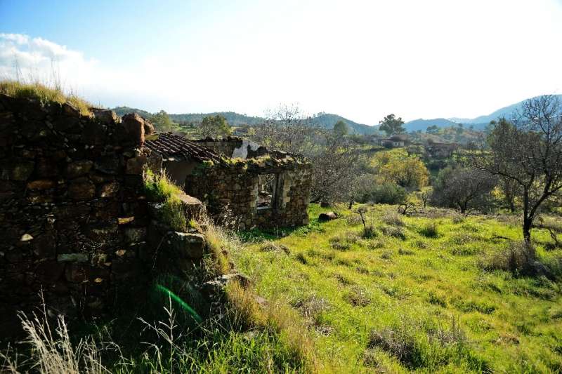 The ruins of a house in the long-abandoned village of Variseia in the UN-patrolled buffer zone between the Republic of Cyprus an