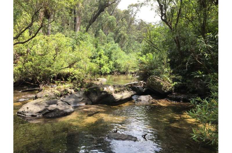 The stunning recovery of a heavily polluted river in the heart of the Blue Mountains World Heritage area
