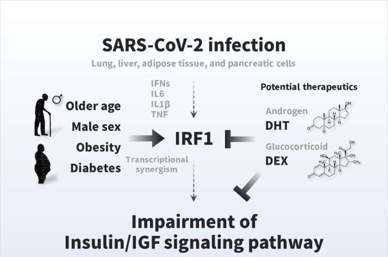 The surprising link between SARS-CoV-2 infection and new-onset diabetes