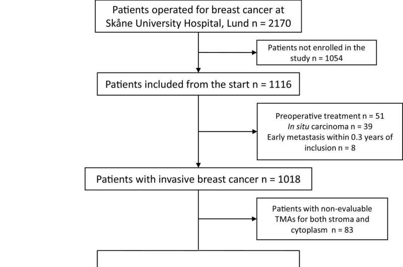The tumor environment can affect breast cancer prognosis