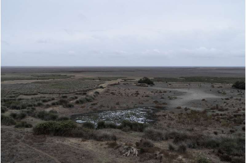 Their lagoons languishing, precious Spanish wetlands go dry