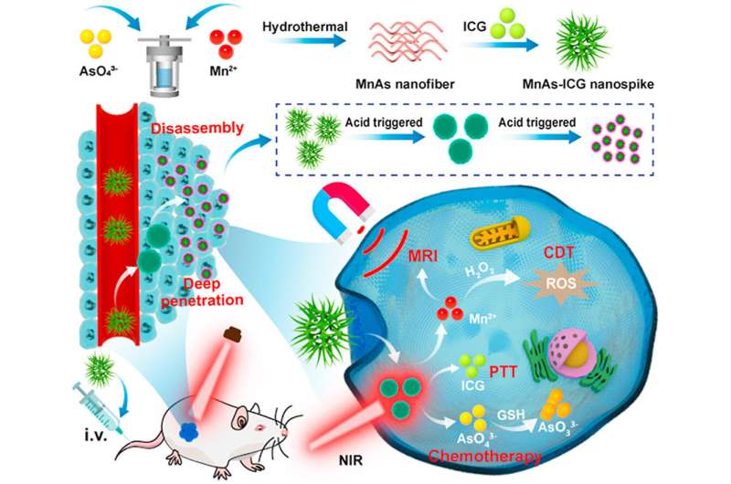 Theranostic nano-platform for MRI-guided synergistic therapy against breast cancer