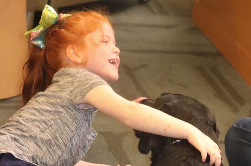 Therapy dogs aren't always the answer to help children with autism