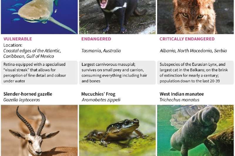 These six species are among those that hang in the balance as climate negotiators meet in Montreal