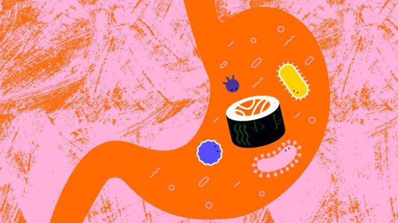 This is your gut on sushi