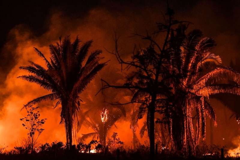 This photo taken on October 01, 2019 shows a fire near Itaituba, Para state, Brazil, in the Amazon rainforest