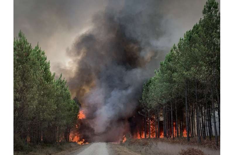 Thousands of hectares of pine forest have been destoyed in the Landiras blaze since Tuesday