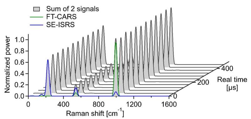 THz–fingerprint vibrational spectroscopy at an ultrafast spectral rate