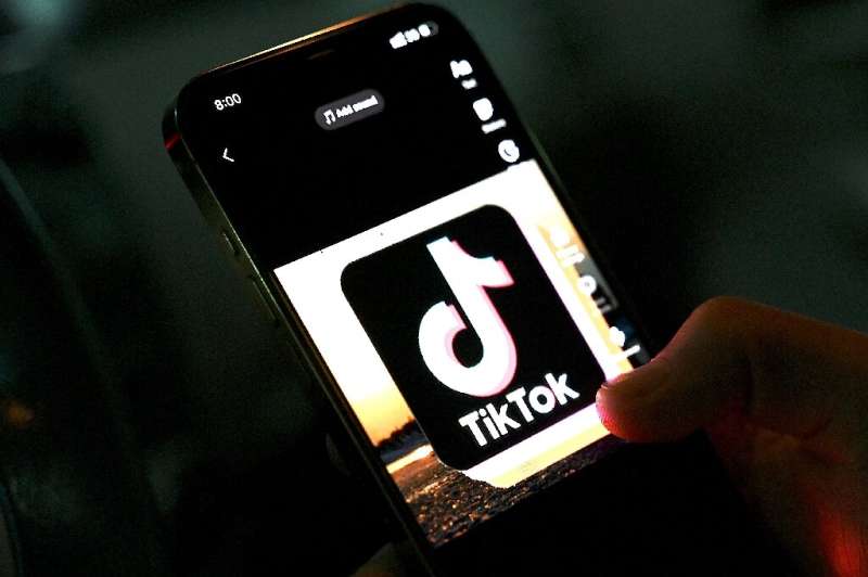 TikTok has become wildly popular around the world in recent years