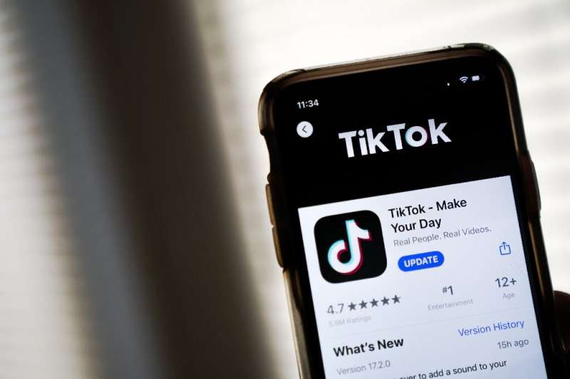 TikTok has rapidly become one of the most important players in the music industry