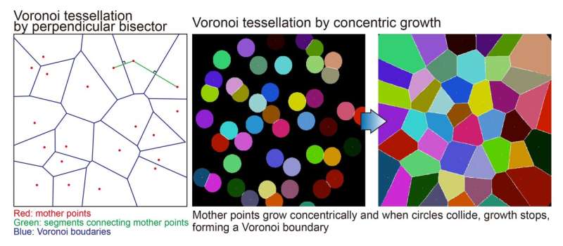 Tiling mechanisms of the Drosophila compound eye through geometrical tessellation