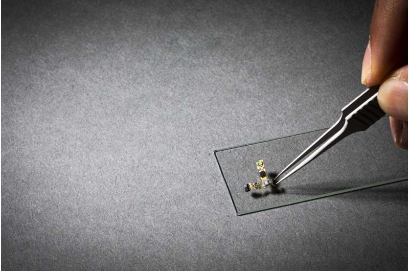 Tiny battery-free devices float in the wind like dandelion seeds