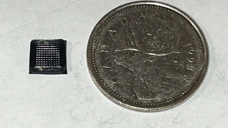 Tiny patch could give diabetics painless glucose monitoring