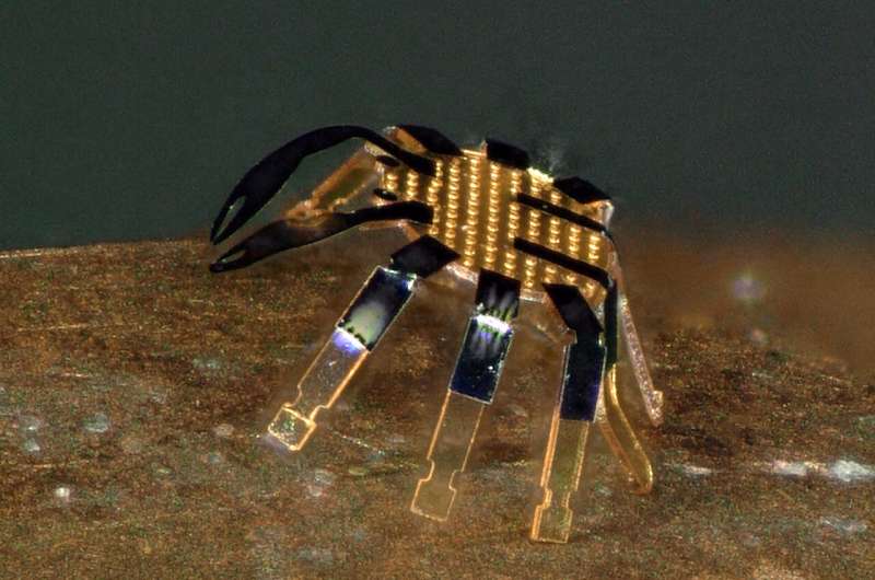 Tiny robotic crab is smallest-ever remote-controlled walking robot