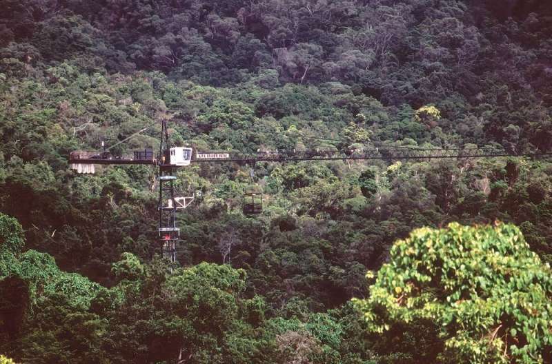 To get to the rainforest canopy, it helps to have a  crane