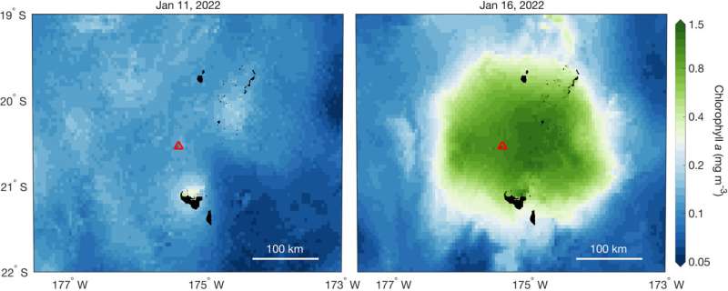 Tonga volcano eruption stimulates life: rapid, massive bloom of ocean phytoplankton