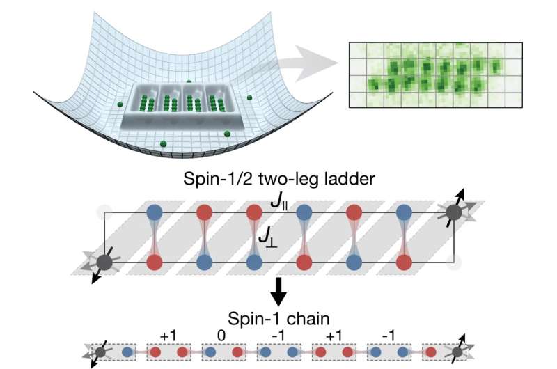 Topological phase detected in spin chains