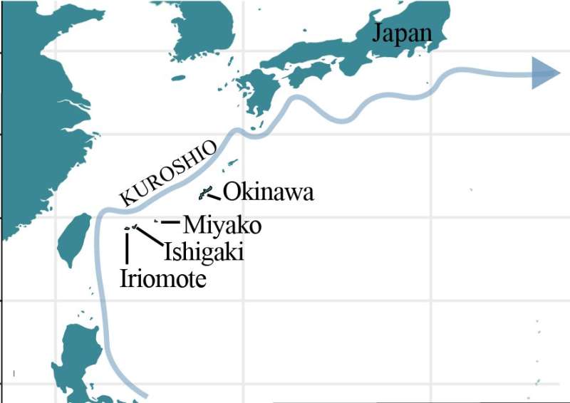 Tracking the journey of mangroves in southern Japan