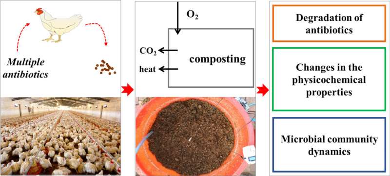Transfer and transformation of heavy metals and antibiotics during broiler breeding-manure-composting