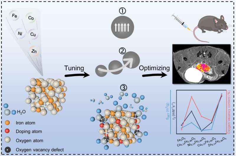 Transition metal-doped iron oxide nanocrystals modulates MRI contrast performance