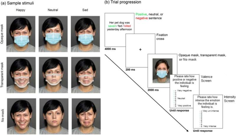 Transparent face masks restore emotional understanding, but not empathy