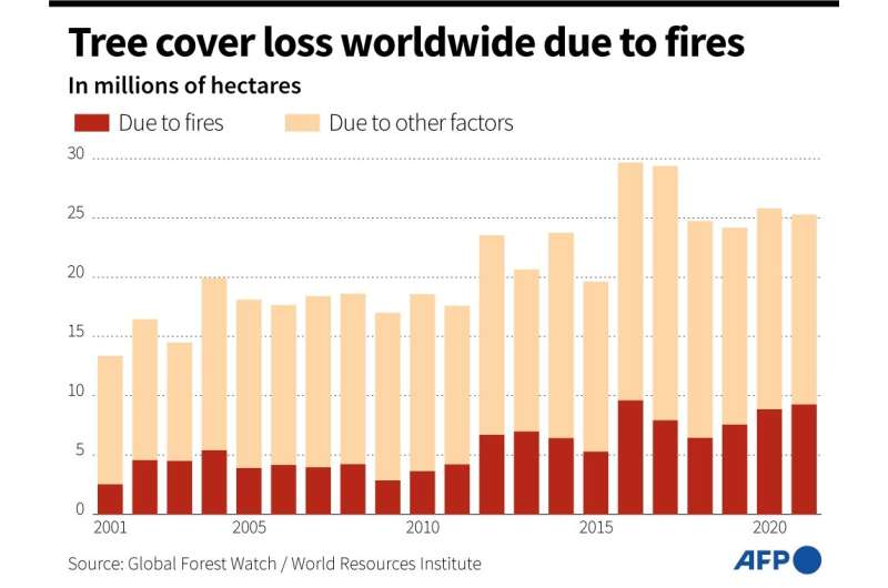 Tree cover loss due to fires