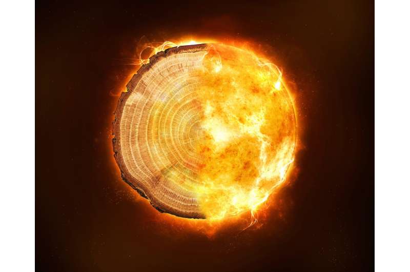 Tree rings give insight into devastating radiation storms