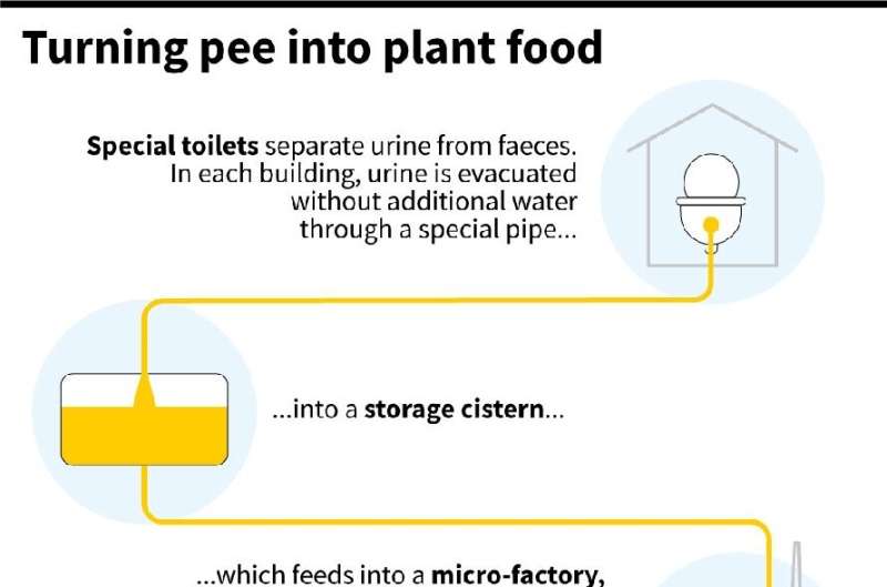 Turning pee into plant food