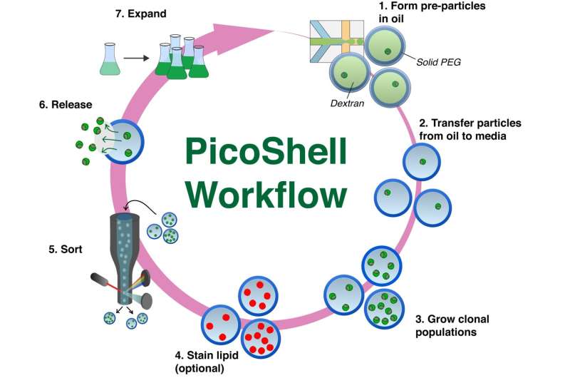 UCLA researchers develop novel microscopic picoshell particles