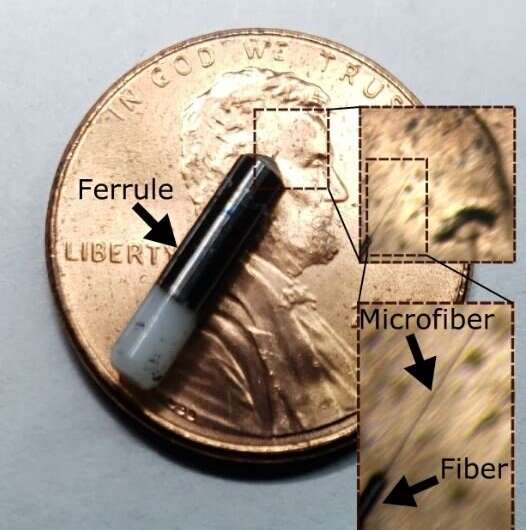 Ultra-thin, flexible probe provides neural interface that's minimally invasive and long-lasting