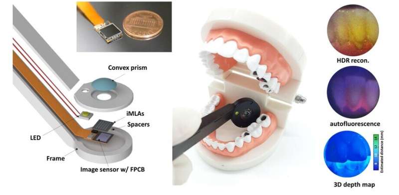Ultrathin dental digicam impressed by insect-eye composition