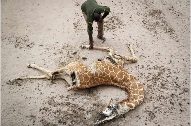 ONU: África, que ya sufre por el calentamiento, verá cosas peores