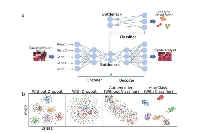 UNC Charlotte team developed a universal AI algorithm for in-depth cleaning of single cell genomic data