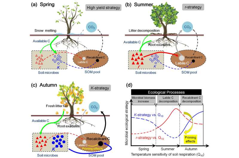 Underlying microbial mechanisms driving temperature sensitivity of soil respiration vary by season