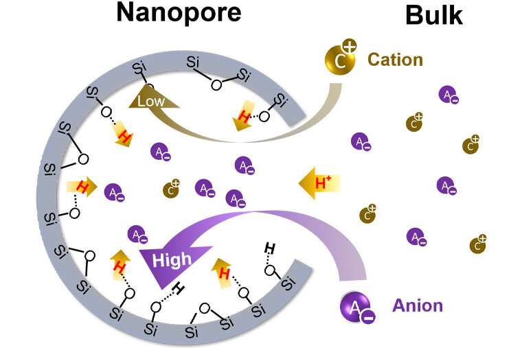Understanding outsize role of nanopores