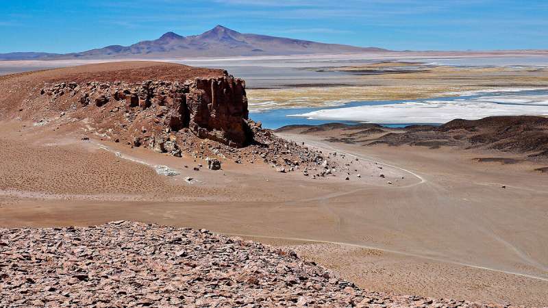 Understanding rare rain events in the driest desert on Earth
