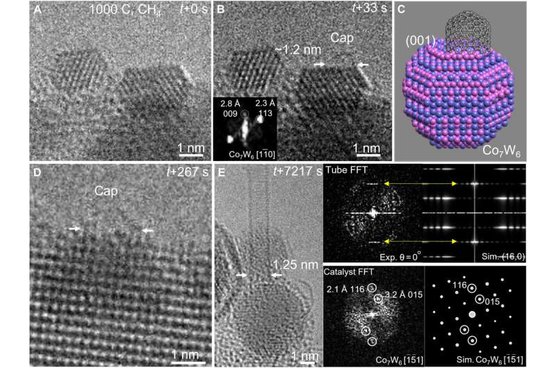 Understanding the growth modes of single-walled carbon nanotubes on catalysts