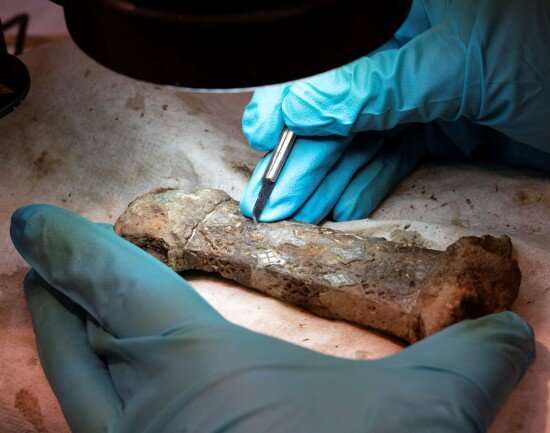 Unique sword casts new light on Viking voyages across the North Sea