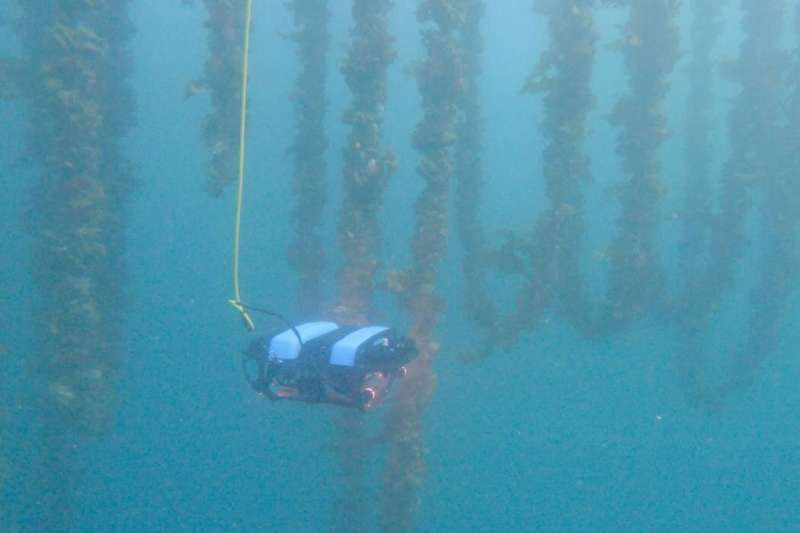 Unique underwater drone game changer