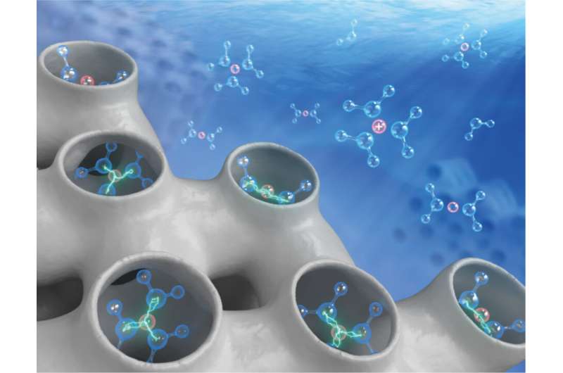 Unveiling how water and ions impact chemical reactivities at solid-aqueous interfaces