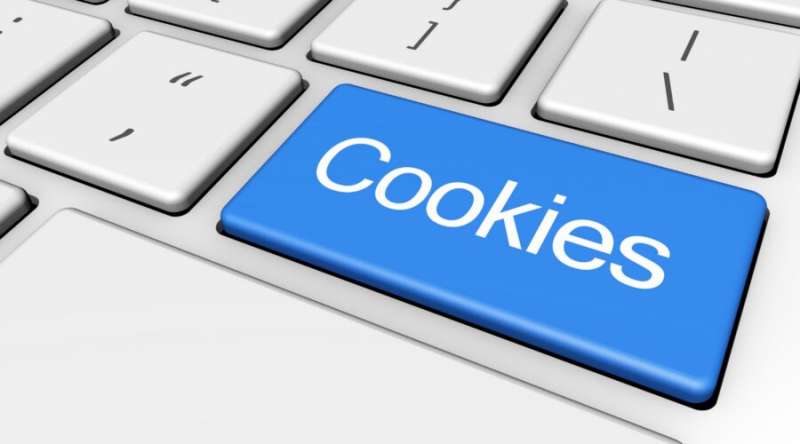 governmental web sites embrace cookies of third-party trackers