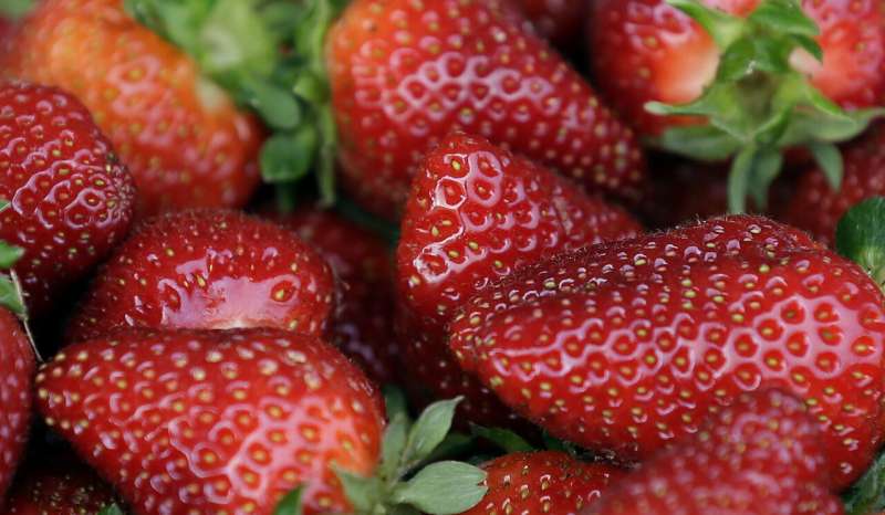 美国、加拿大监管机构将肝炎病例与草莓