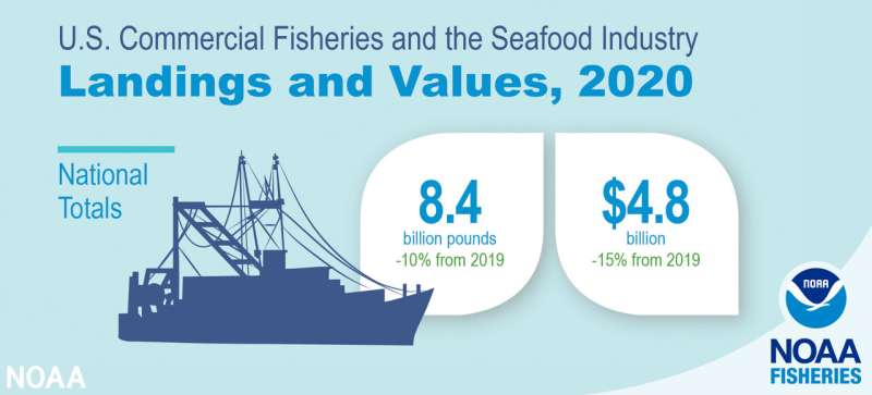 U.S. fish stocks continue era of rebuilding and recovery
