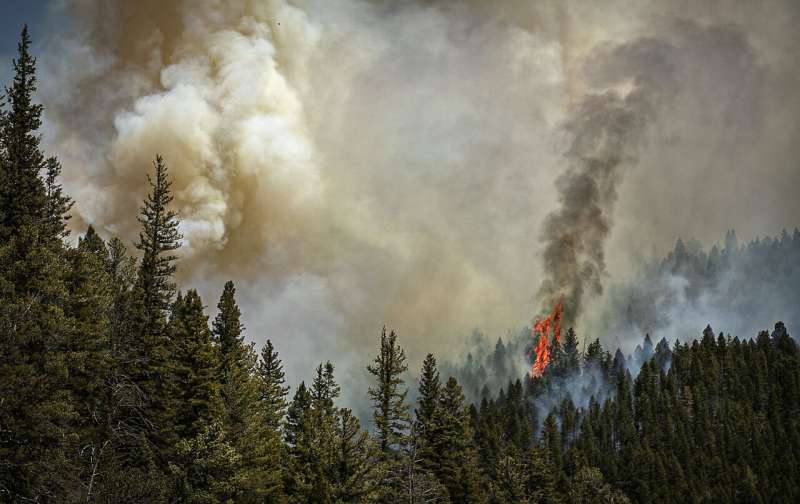 US review traces massive New Mexico fire to planned burns