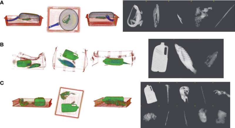 違法な野生生物取引の検出に 3D X 線技術を使用